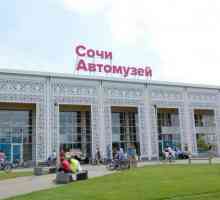`Sochi Auto Museum`: locație și prețuri