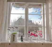 Compoziție pe tema "Vederea din fereastră în timpul iernii": principii de scriere și stil…