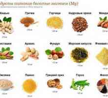 Conținutul de magneziu din alimente: masă. Beneficiile magneziului