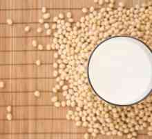 Lapte de soia: beneficii, rău, compoziție și caracteristici