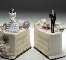 Acord privind împărțirea proprietății soților: un eșantion. Acordul privind divizarea proprietății…