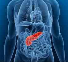 Sucul pancreatic: descriere, compoziție, funcții și caracteristici