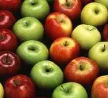 Juicer pentru mere: prin ce criterii să-l alegi