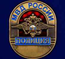 Reducerea Ministerului Afacerilor Interne al Rusiei