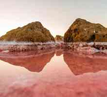 Salt Pink Lake în Crimeea