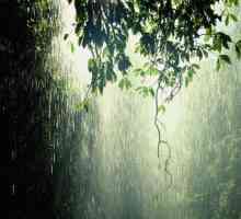 Interpretare de vis: ploaie torențială, ploaie torențială, furtuni puternice