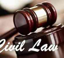 Corelarea dreptului civil cu alte ramuri ale dreptului: descriere, exemple și funcții