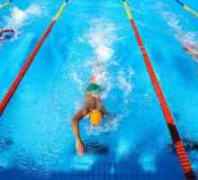 Соревнования по плаванию: история, виды, польза