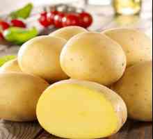 Soiuri de cartofi: fotografie, descriere, caracteristici, recenzii