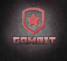 Compoziția "Gambit COP: GO". Informații reale