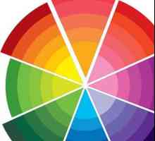 Sfaturi pentru începători: culori de bază și complementare