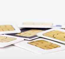 Sfaturi pentru utilizatori: cum se activează cartela SIM Beeline
