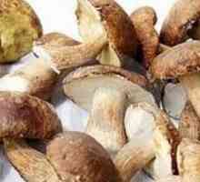 Sfaturi: câte este necesar să gătești ciuperci de diferite feluri