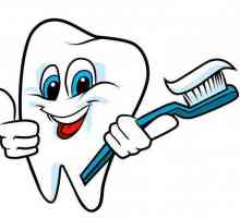 Sfaturi pentru dentiști: de câte ori trebuie să vă spălați dinții