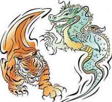 Compatibilitate Dragon și Tiger. Dragoste și căsătorie