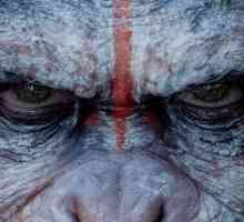 Creatorii, rolurile și actorii filmului "Planeta maimuțelor: Revoluția" din 2014