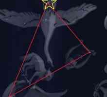 Constellation Cygnus: o schematică. Istoria constelației Cygnus. Când este mai bine să observăm…