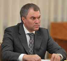 Președintele Duma de Stat Volodin: biografie, activități și fapte interesante