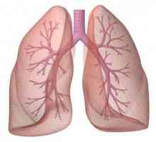 Spirometria: ce este aceasta, cum se procedează procedura, ce arată ea