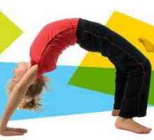 Arte gimnastica pentru copii. Secțiunea Gimnastică pentru copii de la 3 ani la Moscova