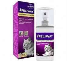 Spray `Felivey` pentru pisici: instrucțiuni și răspunsuri
