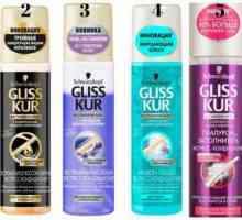 Spray `Gliss Cur `pentru păr: o recenzie, caracteristici, tipuri și recenzii