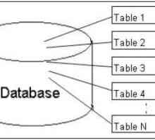 SQL distinct: descriere, exemple, proprietăți