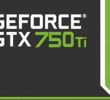 Comparație între plăcile video NVIDIA GeForce GTX 750 Ti vs GTX 750 în jocuri
