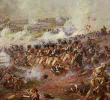 Bătălia de la Shevardinsky redoubt: detalii