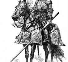 Cavaleri medievali - care sunt acești războinici?