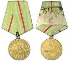 Stalingrad și medalia "Pentru apărarea Stalingradului"