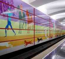 Stația de metrou "Bittsevsky Park": construcții, fapte interesante