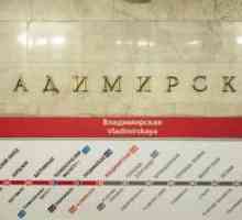 Stația de metrou "Vladimirskaya" este o altă caracteristică a metroului din Sankt…
