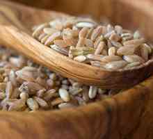 Numele vechi al unei cutii de lemn pentru depozitarea cerealelor: un piept sau un suchek?