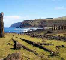 Statuile din Insula Paștelui sunt unul dintre cele mai mari secrete de pe Pământ!