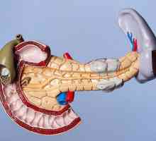 Steatoza pancreasului: cauze, simptome și tratament