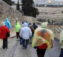 Merită să meargă în Israel în februarie: fotografii și recenzii ale turiștilor