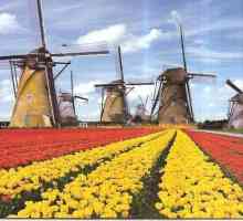 Țara Olanda: orașe, cele mai mari orașe