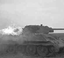 Paginile din istoria celei de-a doua lumi: bătălia tancului lângă Senno, iulie 1941