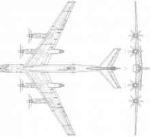 Strategic bombardier TU-95: caracteristici și fotografii