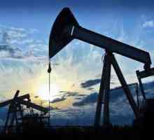 Materiile prime naturale strategice ale Federației Ruse sunt petrolul "Urals"