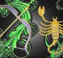 Sagetator - femeie Scorpion: o alianță puternică sau o ostilitate ireconciliabilă?