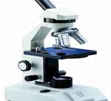 Structura microscopului