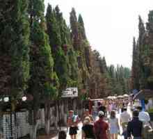 Sudak, aleea Cypress - un loc pentru o ședere plăcută
