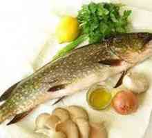 Sudak: rețetă pentru gătit pește