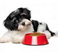 Alimente uscate pentru câini de rase mici