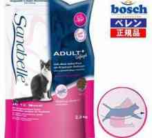 Alimente uscate pentru pisicile Bosch