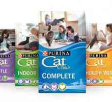 Hrana pentru pisici uscate `Cat Chow` de la Purina: compozitie, recenzii