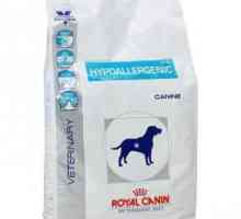 Alimente uscate `Royal Canin` pentru câini hipoalergenici