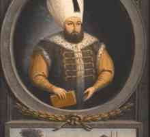 Sultan Mustafa I: biografie, principalele date, istorie